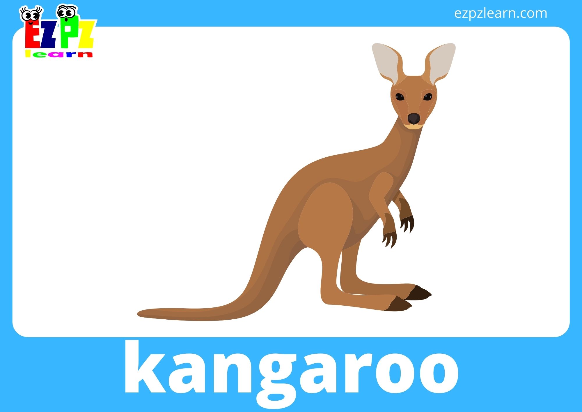 kangaroo